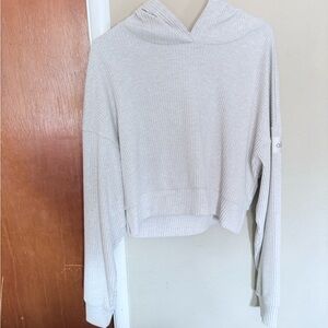 ALO Yoga Light Gray Ribbed Hoodie